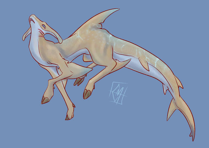 Deer Shark
